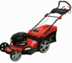 self-propelled lawn mower DDE WYZ18H2-13-WD65 petrol