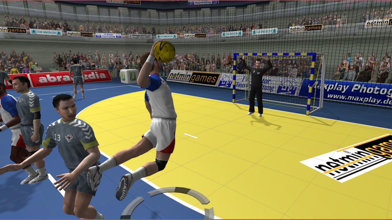 Handball Action Total Steam CD Key, 13.18 usd