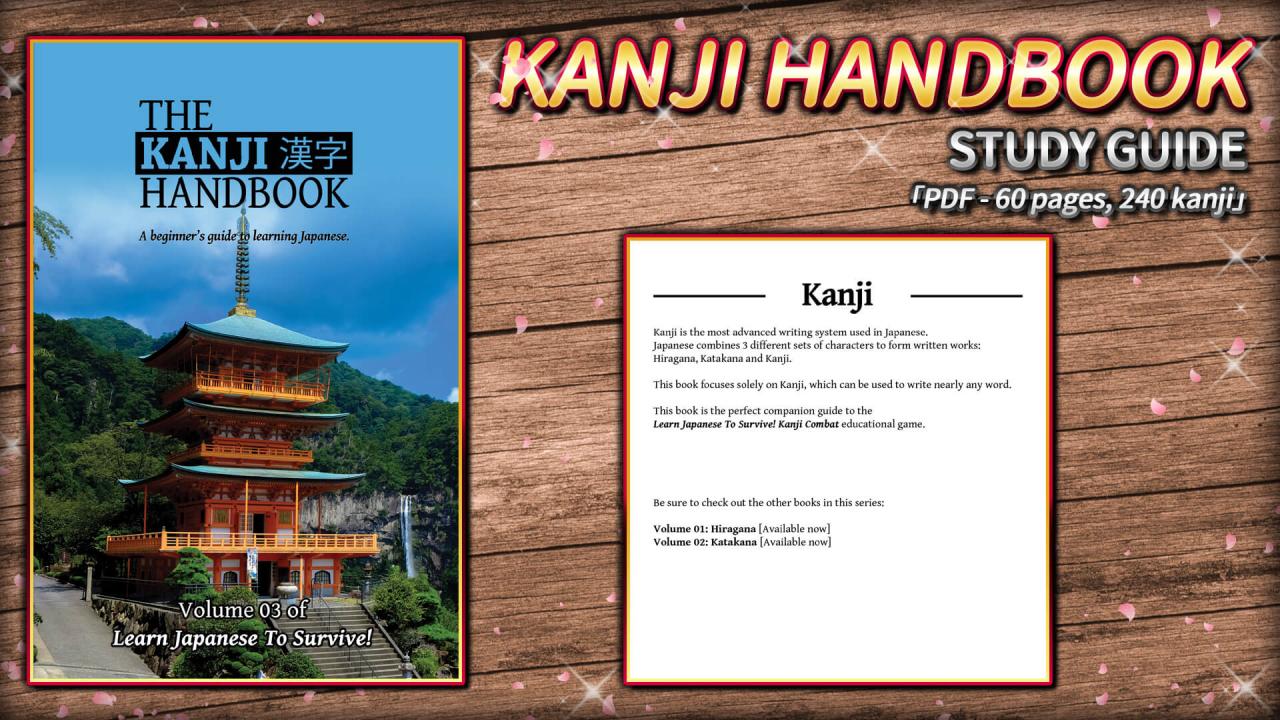 Learn Japanese To Survive! Kanji Combat - Study Guide DLC Steam CD Key, 1.76 usd